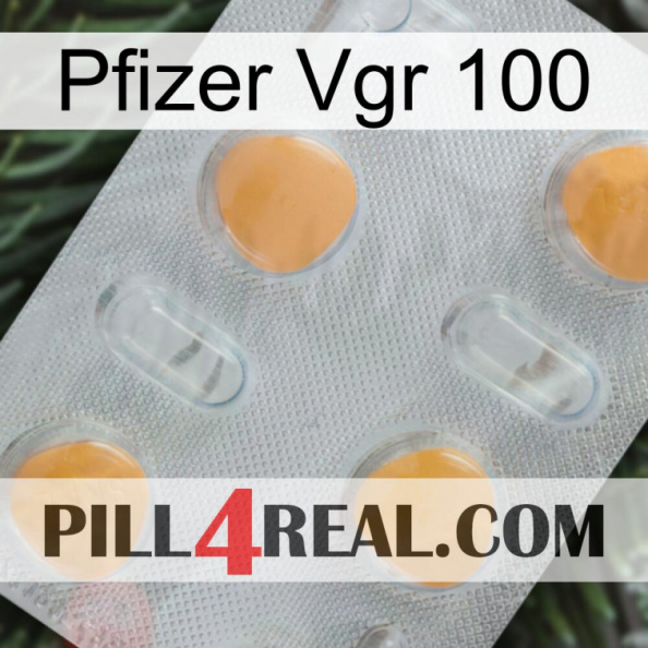 Pfizer Vgr 100 24.jpg